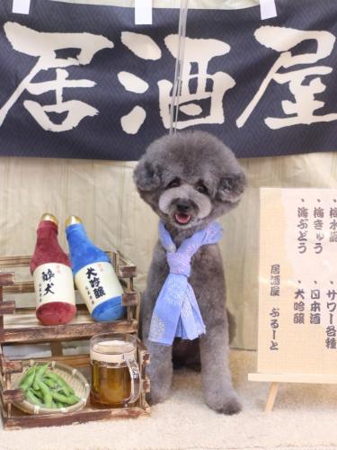 20240627るいくん